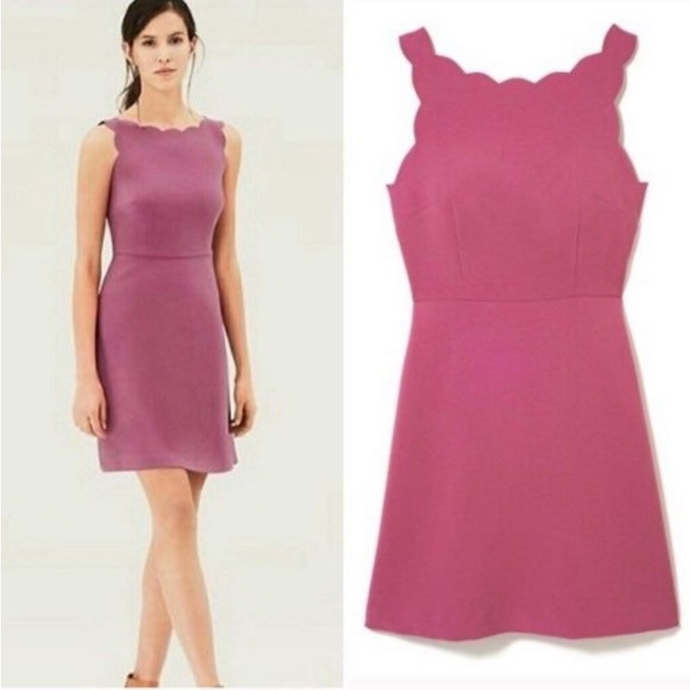Loft Scallop Neckline Midi Dress 👗